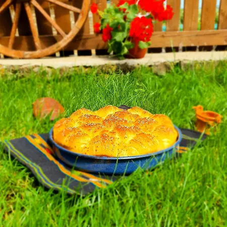 песента на колелетата - * زيرافنا