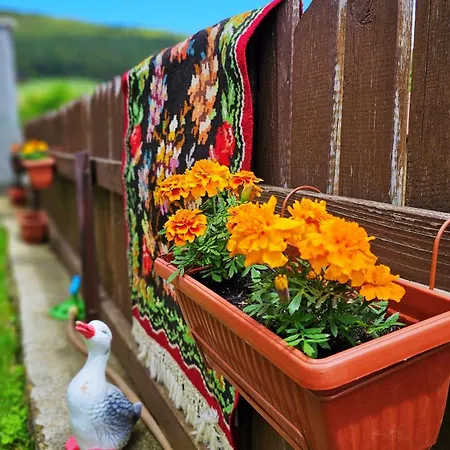 بيت ضيافة песента на колелетата - *