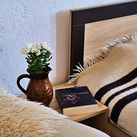 песента на колелетата - بيت ضيافة