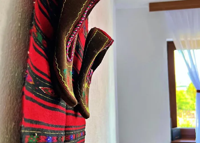 песента на колелетата - بيت ضيافة زيرافنا