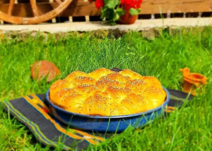 песента на колелетата - * زيرافنا