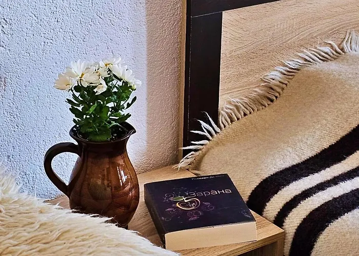 песента на колелетата - بيت ضيافة